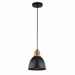 Изображение продукта Подвесной светильник Arte Lamp Eurica 